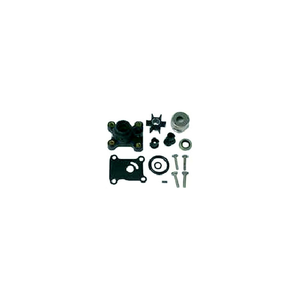 Water Pump Kit w/Housing