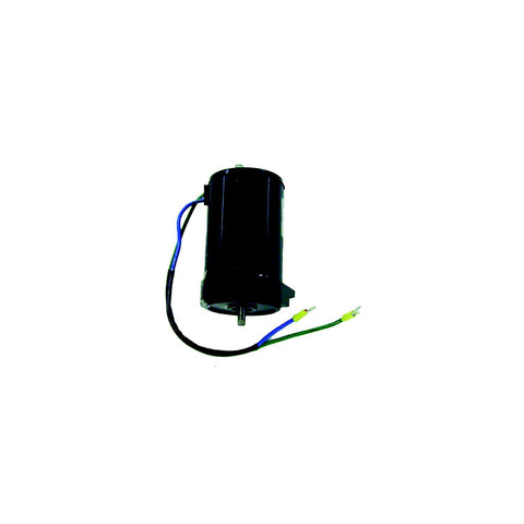 Tilt & Trim Motors