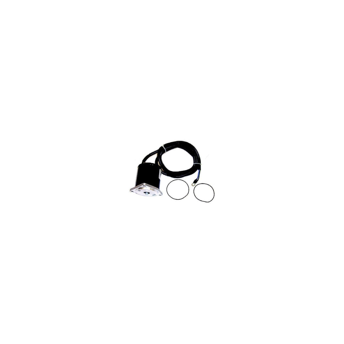 Tilt & Trim Motors