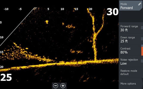 Lowrance Active Target™ 2 Live Sonar